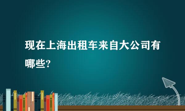 现在上海出租车来自大公司有哪些?