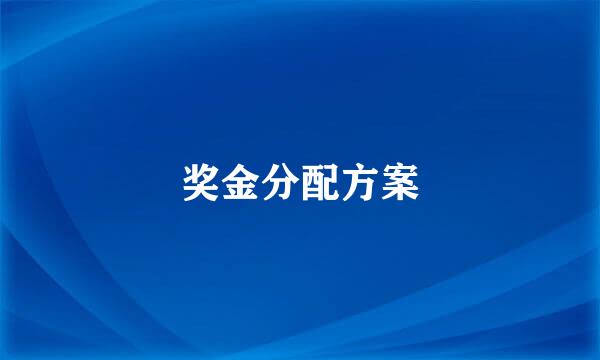 奖金分配方案