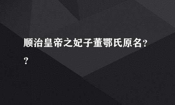 顺治皇帝之妃子董鄂氏原名？？