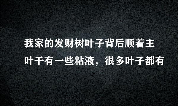 我家的发财树叶子背后顺着主叶干有一些粘液，很多叶子都有