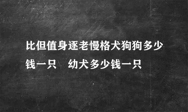 比但值身逐老慢格犬狗狗多少钱一只 幼犬多少钱一只