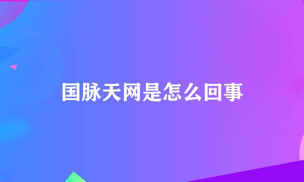 国脉天网是怎么回事