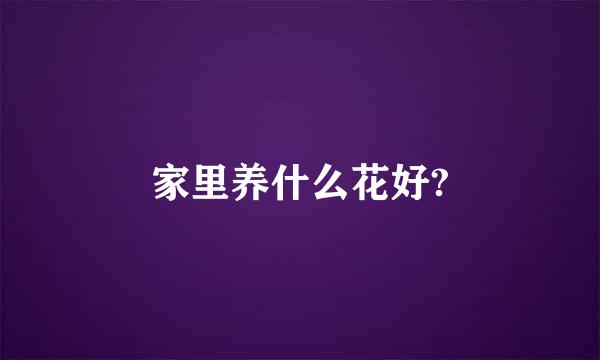 家里养什么花好?