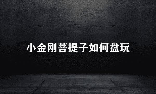 小金刚菩提子如何盘玩