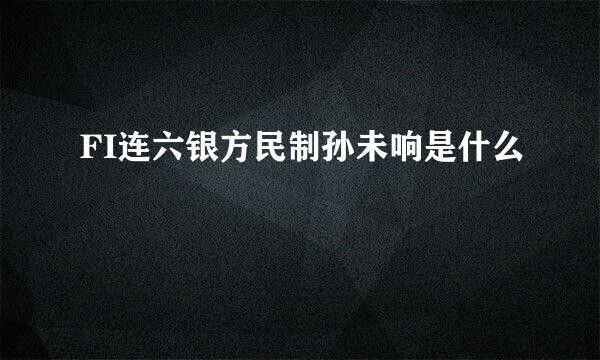 FI连六银方民制孙未响是什么