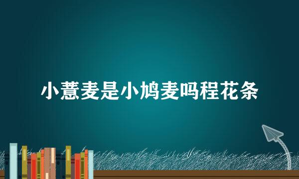 小薏麦是小鸠麦吗程花条
