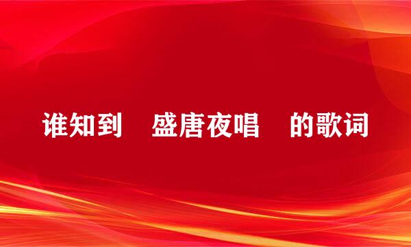 谁知到 盛唐夜唱 的歌词