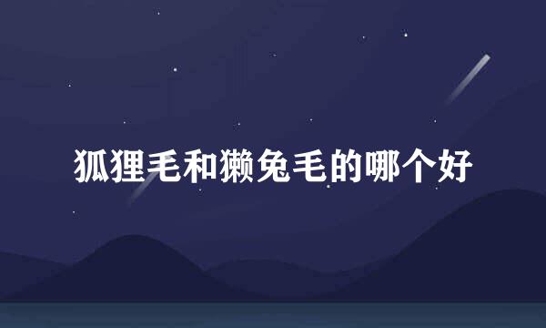 狐狸毛和獭兔毛的哪个好