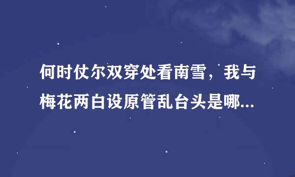 何时仗尔双穿处看南雪，我与梅花两白设原管乱台头是哪句诗里的