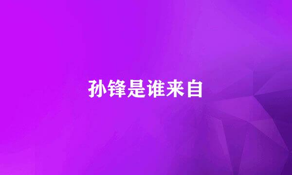 孙锋是谁来自