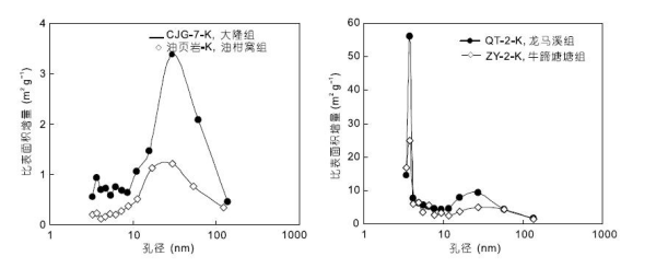 比表面积是什么单位