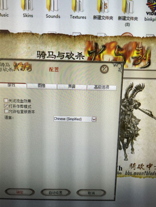骑马与砍杀火与剑中，作弊模式有什么用？