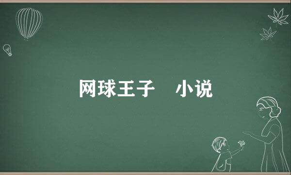 网球王子 小说