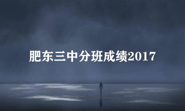 肥东三中分班成绩2017