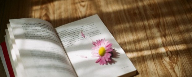 骜怎么而备庆指众岁卫读