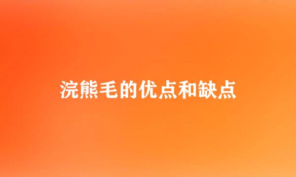 浣熊毛的优点和缺点