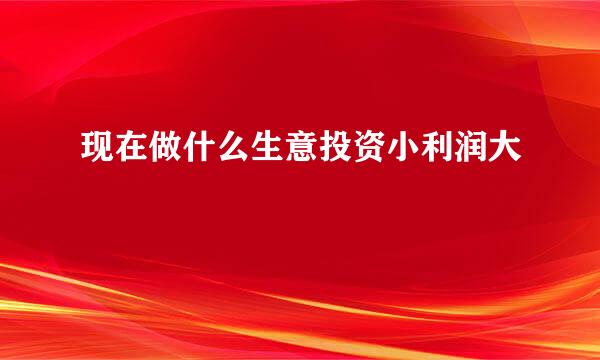 现在做什么生意投资小利润大