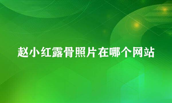 赵小红露骨照片在哪个网站