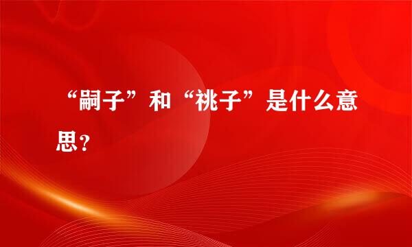 “嗣子”和“祧子”是什么意思？