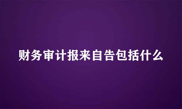 财务审计报来自告包括什么
