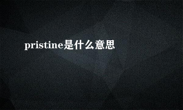 pristine是什么意思