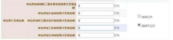 个来自体工商户营业执照在网上怎么验照