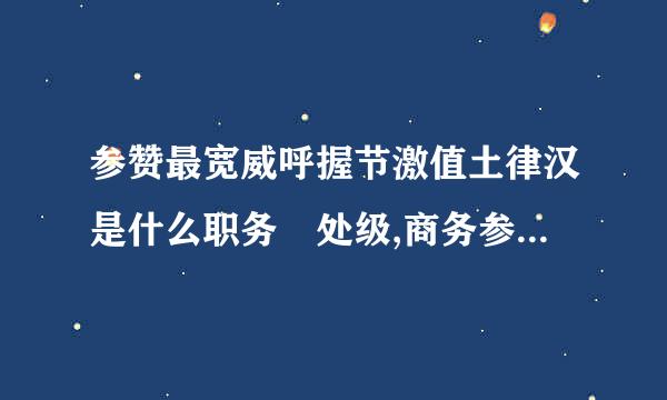 参赞最宽威呼握节激值土律汉是什么职务 处级,商务参赞是什么职务