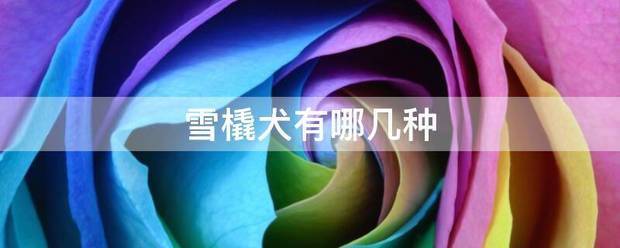 雪橇犬有哪另技几种