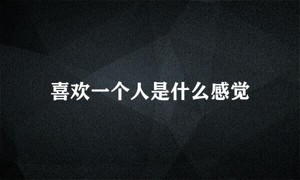 喜欢一个人是什么感觉
