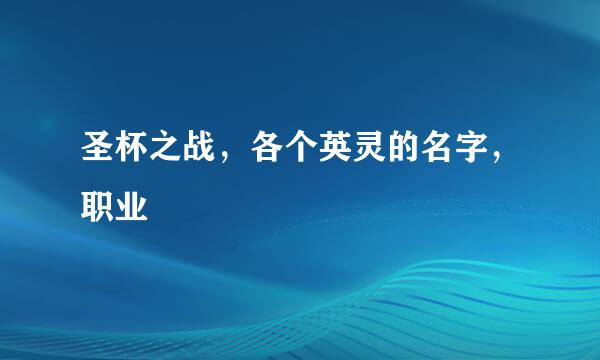 圣杯之战，各个英灵的名字，职业