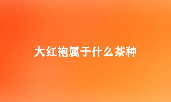 大红袍属于什么茶种