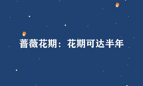蔷薇花期：花期可达半年