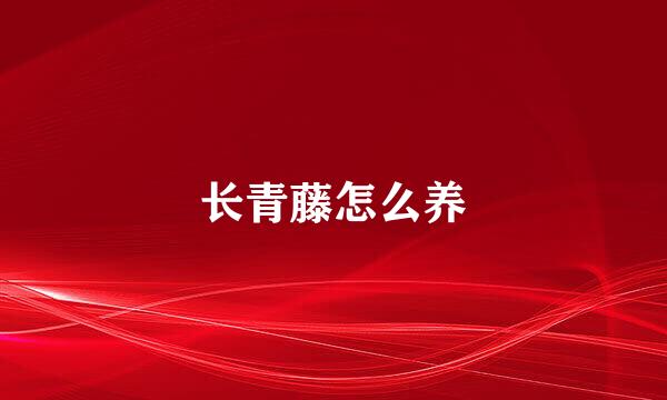 长青藤怎么养