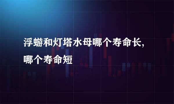 浮蝣和灯塔水母哪个寿命长,哪个寿命短