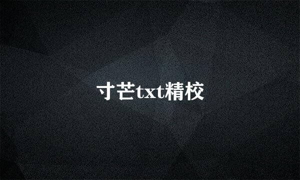 寸芒txt精校