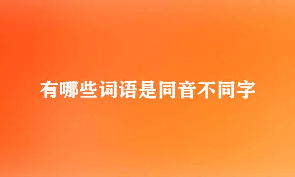 有哪些词语是同音不同字