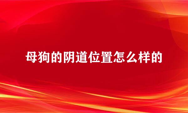 母狗的阴道位置怎么样的