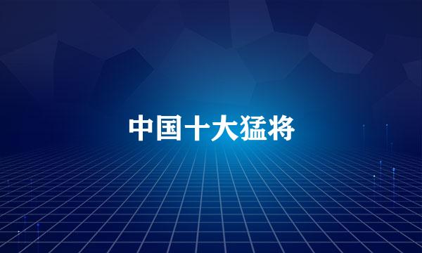 中国十大猛将