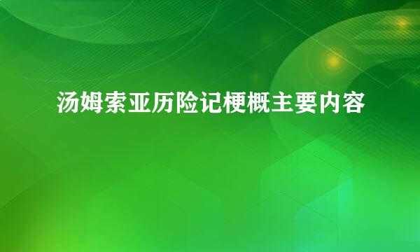 汤姆索亚历险记梗概主要内容