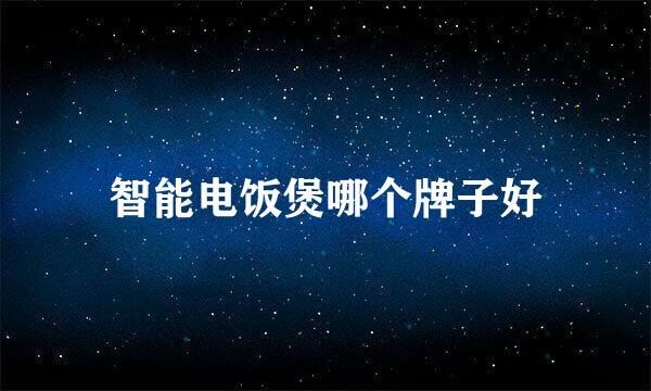 智能电饭煲哪个牌子好