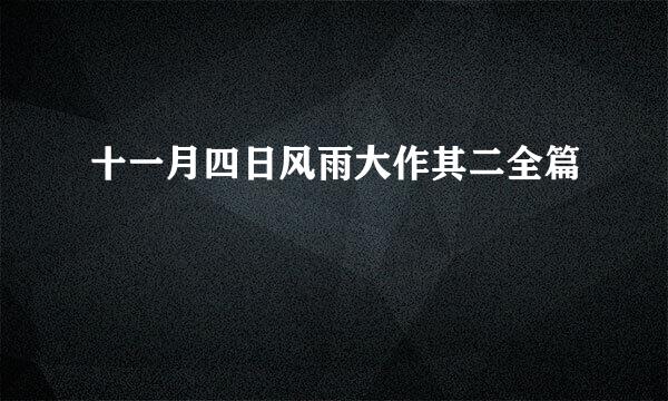 十一月四日风雨大作其二全篇