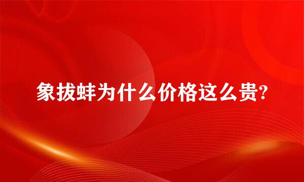 象拔蚌为什么价格这么贵?
