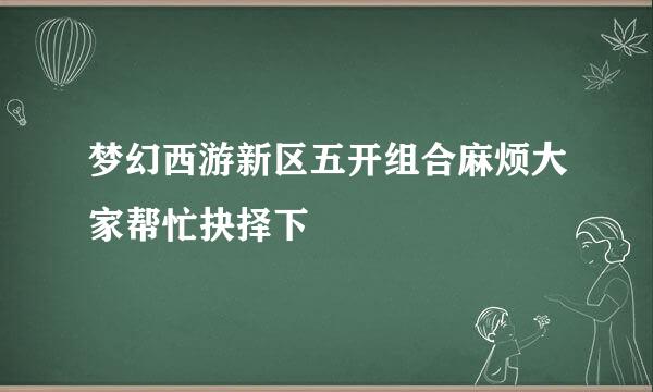 梦幻西游新区五开组合麻烦大家帮忙抉择下