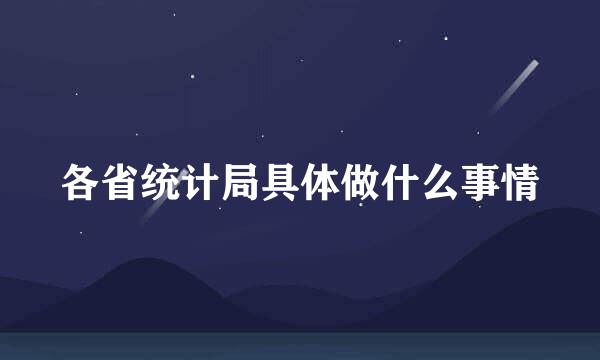 各省统计局具体做什么事情