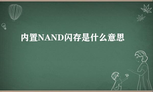 内置NAND闪存是什么意思