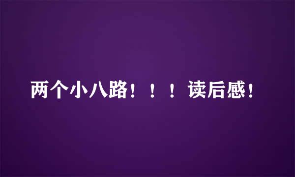 两个小八路！！！读后感！