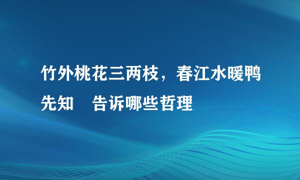 竹外桃花三两枝，春江水暖鸭先知 告诉哪些哲理