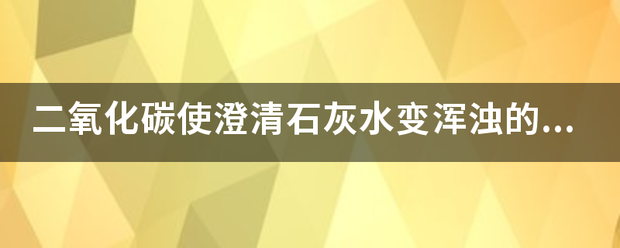 二氧化碳使澄清石灰水变浑浊的化学来自方程式