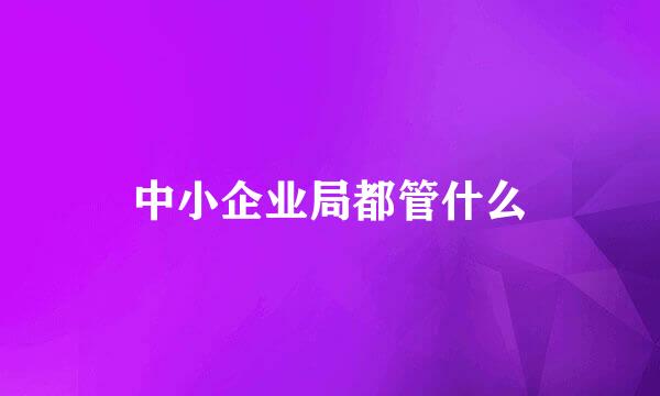 中小企业局都管什么