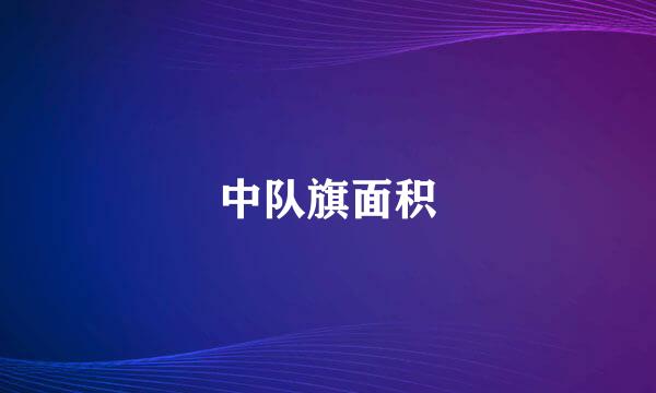 中队旗面积